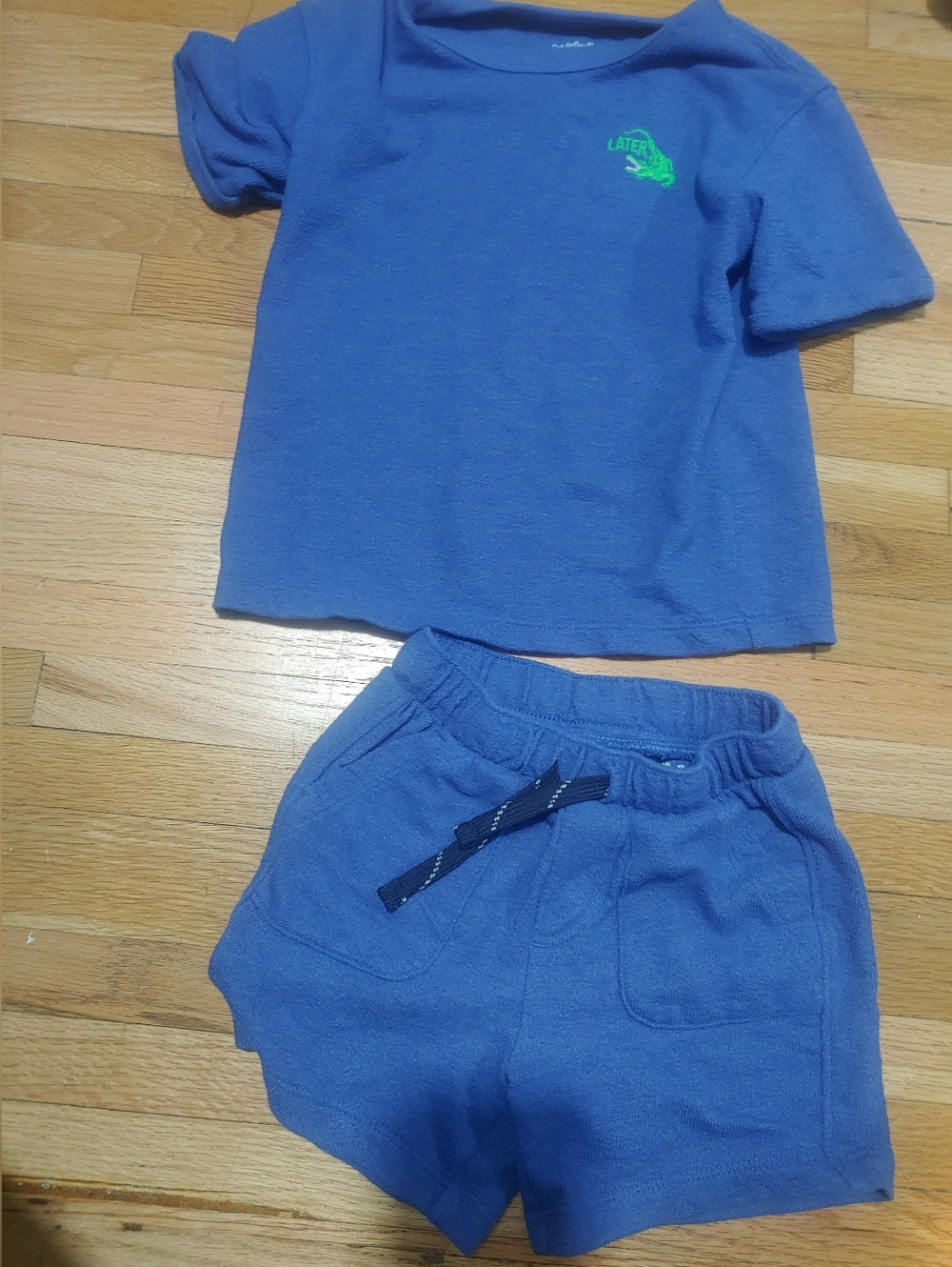 Cat & Jack Boy Blue Terry Two-Piece Tee and Shorts Set / Size 3t